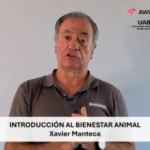 Introducción al bienestar animal