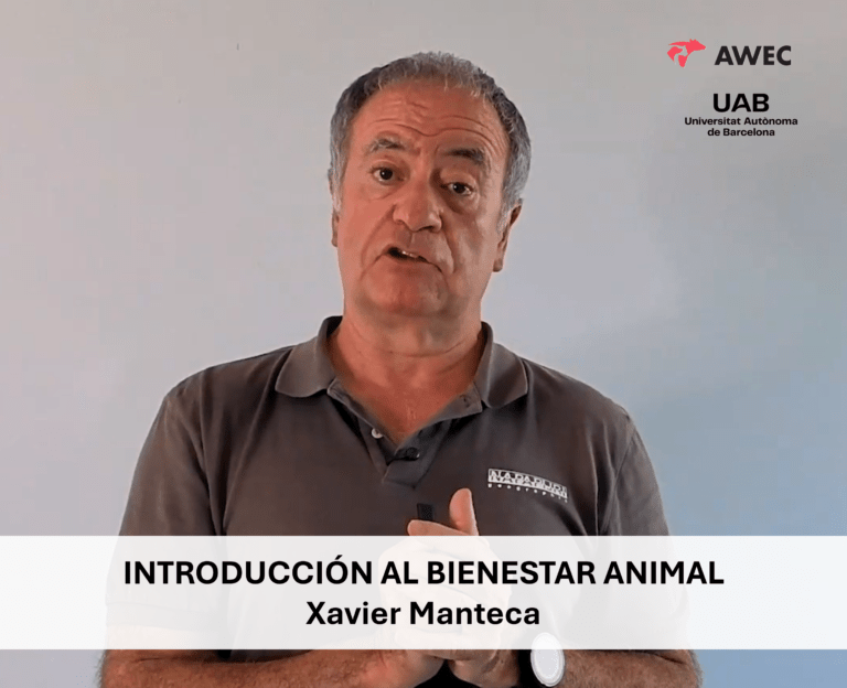 Introducción al bienestar animal